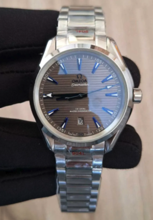 Captura de pantalla 2025-12-12 a la(s) 8.48.29 a. m. OMEGA AQUATERRA